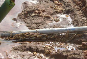 腾博汇游戏官网·(中国)专业服务,诚信为本