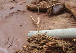 腾博汇游戏官网·(中国)专业服务,诚信为本