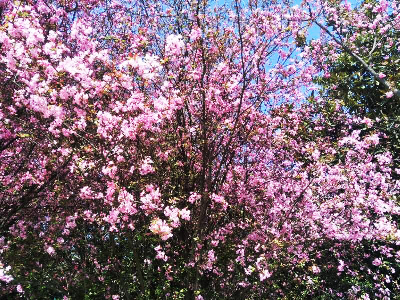 腾博汇游戏官网·(中国)专业服务,诚信为本