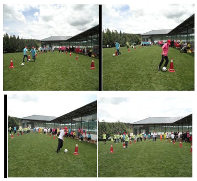 腾博汇游戏官网·(中国)专业服务,诚信为本