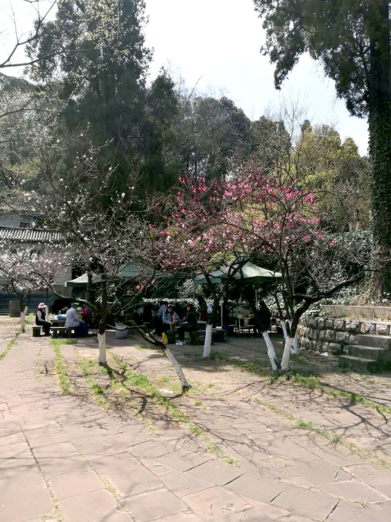 腾博汇游戏官网·(中国)专业服务,诚信为本