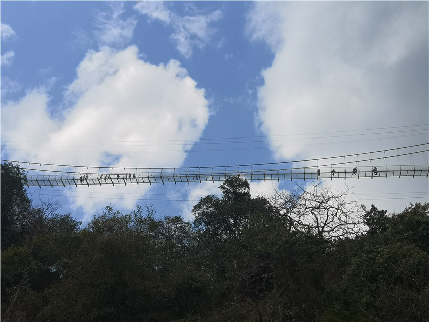 腾博汇游戏官网·(中国)专业服务,诚信为本