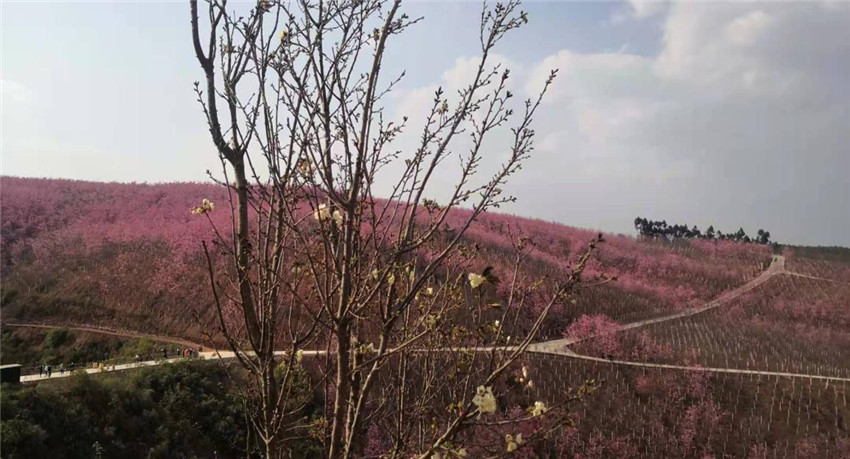 腾博汇游戏官网·(中国)专业服务,诚信为本