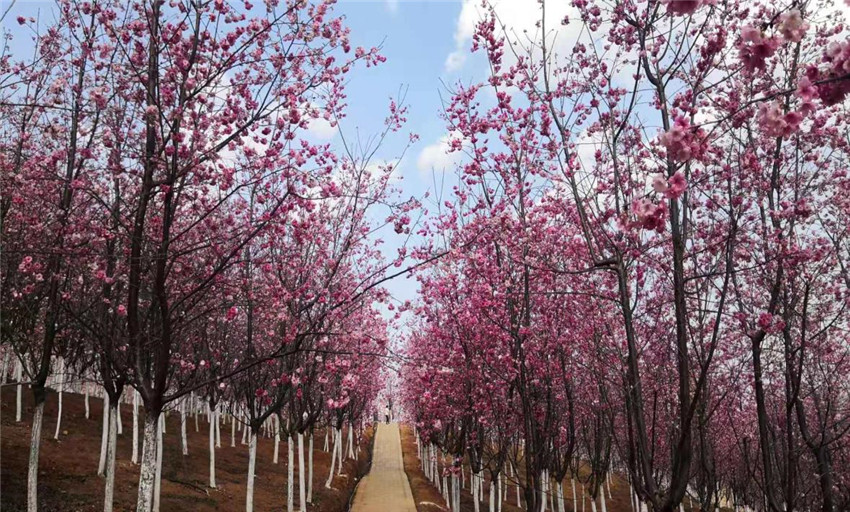 腾博汇游戏官网·(中国)专业服务,诚信为本